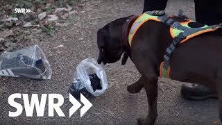 Die Supernasen  PolizeihundeTeams im Einsatz  SWR Mensch Leute [upl. by Borrell756]