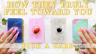 How They truly feel toward You👀low contact reading🔮✨Pick a Card📜Tarot Reading✨🔥🧚‍♂️ [upl. by Malloch]