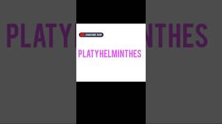 PLATYHELMINTHES [upl. by Yaniv]