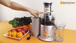 Breville JE98XL Juice Fountain Plus 850Watt Juice Extractor Review [upl. by Ardnauq]