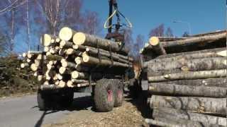 Horse logging Sweden [upl. by Koziel]