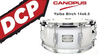 Canopus Yaiba Birch Snare Drum 14x65 Wagon Grey  Demo [upl. by Lleuqar717]