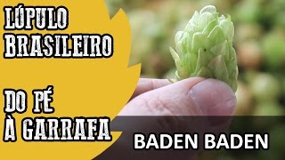 Lúpulo Brasileiro é Possível Do Pé à Garrafa  Baden Baden Marzen [upl. by Llet]