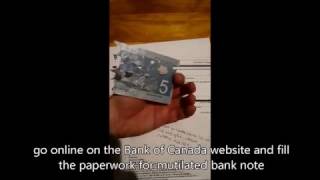 What to do with damaged bank notes [upl. by Charpentier]