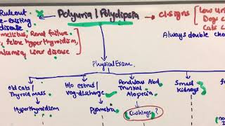 Polyuria Polydipsia Diagnostic algorithm [upl. by Baten]