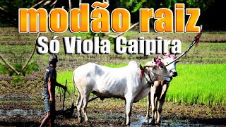 MODÃO DAS ANTIGAS RAIZ SERTANEJO ANTIGO 🌻 MODÃO DE BUTECO RECORDAÇÕES ROMÂNTICAS AS MELHORES [upl. by Mcnutt330]