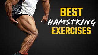 Best Hamstring Exercises  बेस्ट हैमस्ट्रिंग एक्सरसाइजेज  Yatinder Singh [upl. by Anelam]