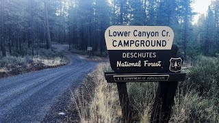 REVIEWING EACH CAMPSITE  Lower Canyon Creek Campground  Metolius River  Deschutes  Oregon  4K [upl. by Llemar]