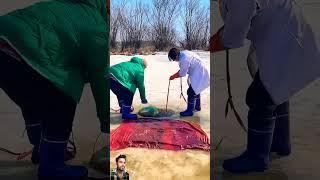 fishing funny fish story amazing shortsvideo [upl. by Nazarius920]