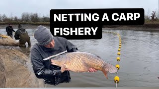 An ENTIRE carp fishery netted We caught some MONSTER fish [upl. by Philana385]