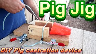 Easy to make DIY quotPig Jigquot for castrating piglets [upl. by Ardnuahs]