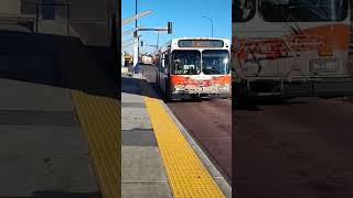 Bus Route 1 Arriving at 44 Street SE BRT Station calgary calgarytransit bus brt transit [upl. by Eirena296]