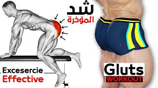 7 Best Exercise Glute Workout [upl. by Arianna]