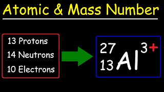 Atomic Number Mass Number and Net Electric Charge [upl. by Otanutrof]