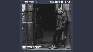 Another Love Tiësto Remix [upl. by Sherer909]