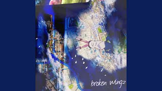 broken wingz [upl. by Alexis]