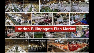 Londons Biggest Fish Market in Billingsgate Fish Market [upl. by Shelburne538]