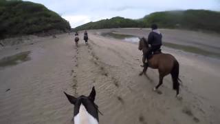 Foxworthy Goes To Flete Horse riding through forest jumps and beach gallop [upl. by Liliane]