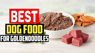 ✅ Top 5 Best Dog Food for Goldendoodles in 2023 [upl. by Garda]