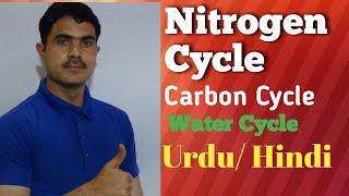 Nitrogen cycle Carbon cycle and Water cycle Lecture 2 in Urdu by dr Hadi [upl. by Broeder666]