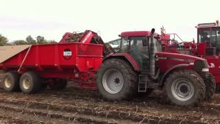 Amac zm4 en case mx 150 met Beco zijn aardappelen aant rooien bij francis in noordbeemster [upl. by Lerret]