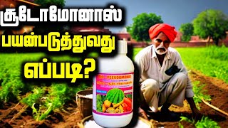 How to use pseudomonas தமிழ் [upl. by Remoh]