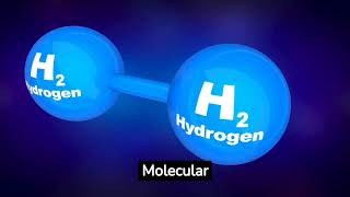 6 Points Eumelanin and Molecular Hydrogen Diet or Fast [upl. by Elamor]