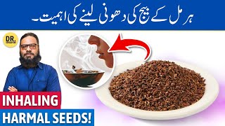 Harmal Beej Ke JismaniRohani Fayde Harmal Seed Benefits  Dr Ibrahim [upl. by Alysoun]