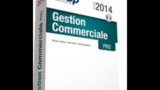 EBP Gestion Commerciale Open Line  Les devis et factures [upl. by Sola198]