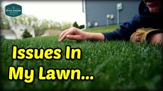 My Lawn Has Issues [upl. by Lewls703]