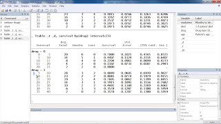 How to construct life tables using Stata® [upl. by Auqeenahs347]