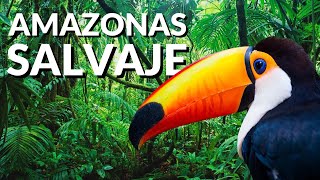 Amazonas SALVAJE Documental [upl. by Yroggerg]