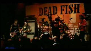 Dead Fish  Engarrafamento  MTV Apresenta [upl. by Alet179]