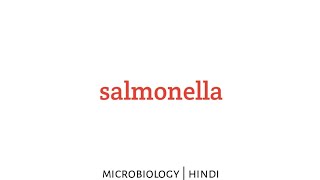 Salmonella  microbiology lecture in Hindi [upl. by Aibonez]