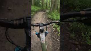 MTB💥Steeper than it looks Peaslake mtb mtblife downhill trail enduro surreyhills [upl. by Ravi137]