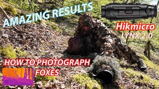 Fox photography and Hikmicro Thermal Monocular test [upl. by Daniele]