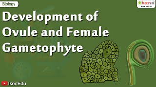 Biology Of Plants  Learn About Ovule and Gametophyte  iKen  iKen Edu  iKen App [upl. by Kurtz]