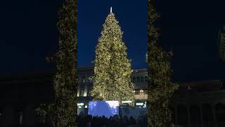 Accensione Albero di Natale 2023 in Piazza Duomo a Milano [upl. by Gino937]