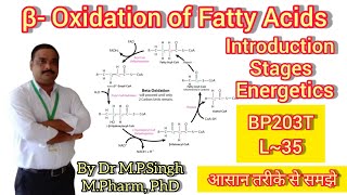 Beta Oxidation of Fatty Acids  Lipid Metabolism  Energetics  Biochemistry  BP203T  L35 [upl. by Nolur]