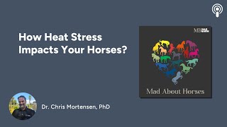 How Heat Stress Impacts Your Horses [upl. by Caves522]