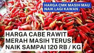 CABE RAWIT MERAH MASIH TERUS NAIK DAN HARGA CMK MULAI MEROKET hargacaberawit [upl. by Rennob]