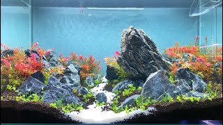 TUTORIAL BRAZILIAN STYLE AQUASCAPE 60P PART 2 [upl. by Sankaran]