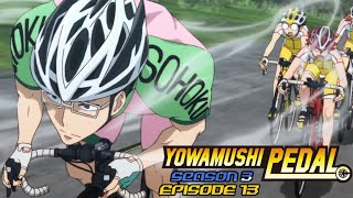 The BEST Training ARC  Yowamushi Pedal New Generation Season 3 Ep 13  Reaction [upl. by Jessalyn]