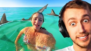 SHARK ATTACK Miniminter Reacts To Daily Dose Of Internet [upl. by Gwyn]