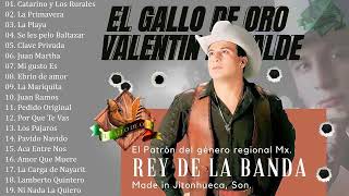 Valentin Elizalde El Gallo De Oro Puros Corridos Mix [upl. by Enej]