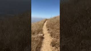 Walking through a grassy meadow on Box Springs Mountain [upl. by Yahsed]