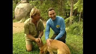 The Wiggles Wiggly Safari 2002 Opening [upl. by Esinwahs]