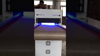 uv led curing system with conveyor belt [upl. by Nimsay247]