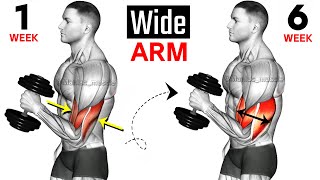 Full Arms Exercises with Dumbbells  Biceps and Triceps  🦾🦾 [upl. by Haliehs]