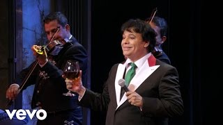 Juan Gabriel  Por Qué Me Haces Llorar En Vivo Desde Bellas Artes México 2013 [upl. by Gorey]